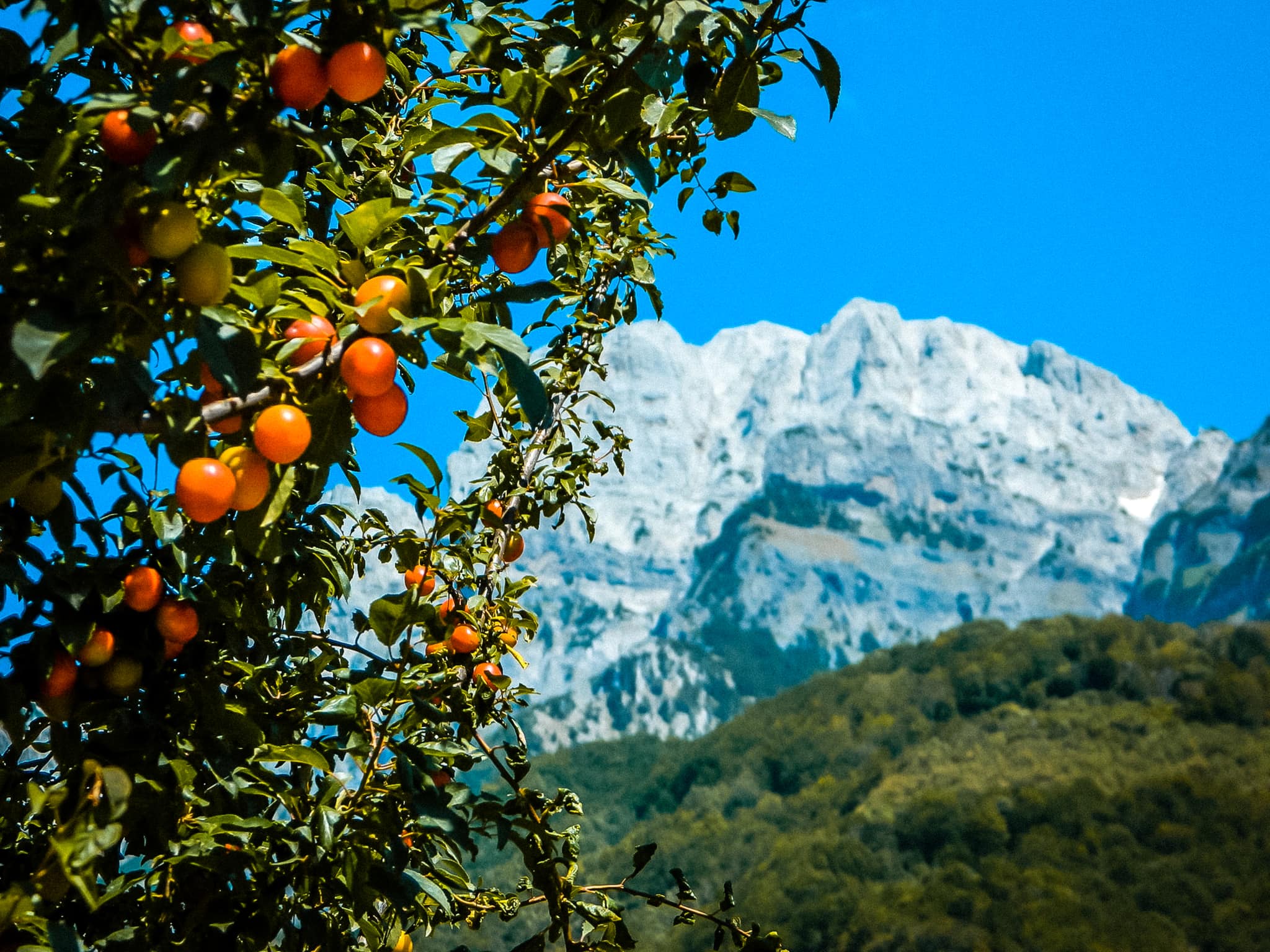 Früchte, Berge, Peaks of the Balkans Albanien