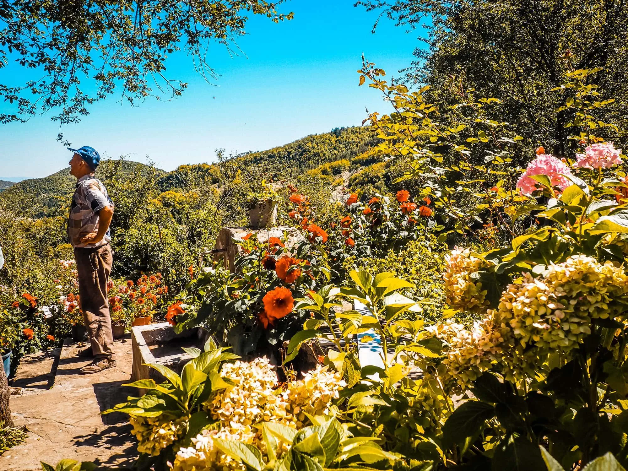 Dardha Village Albania Garden