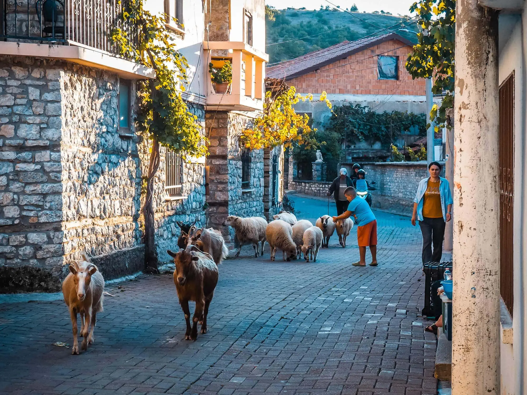 Albanien,Reise,Urlaub,Kinder