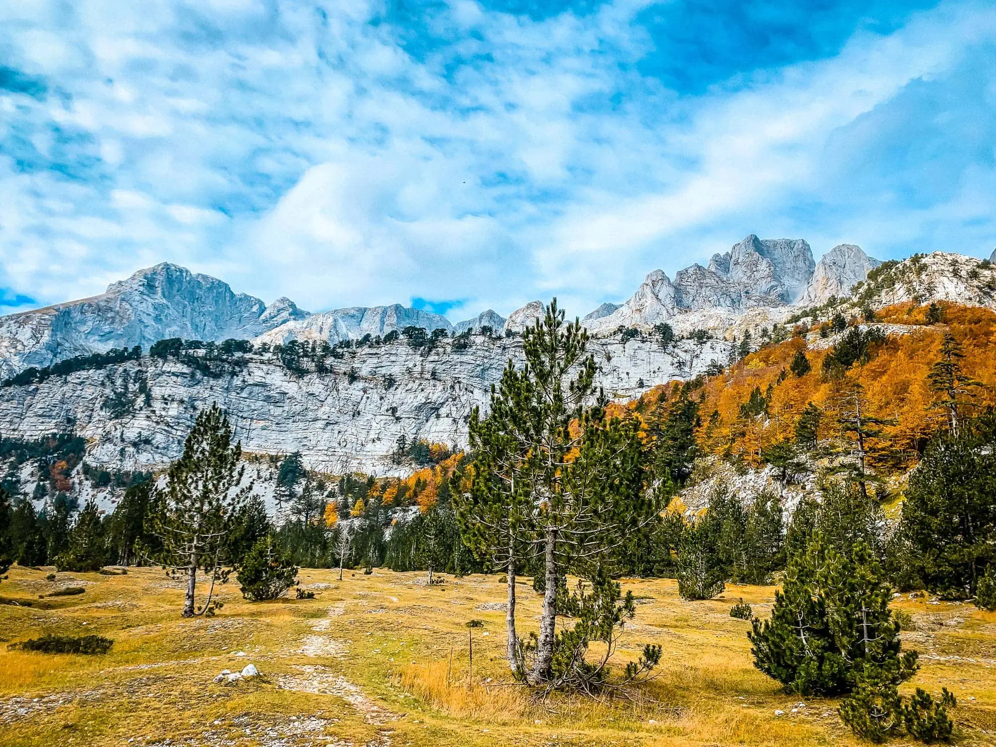 Vusanje - Theth: Meadows along the trail