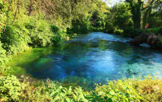 Un fenómeno natural en Albania, un río cristalino de aguas verde esmeralda en medio de un denso bosque.