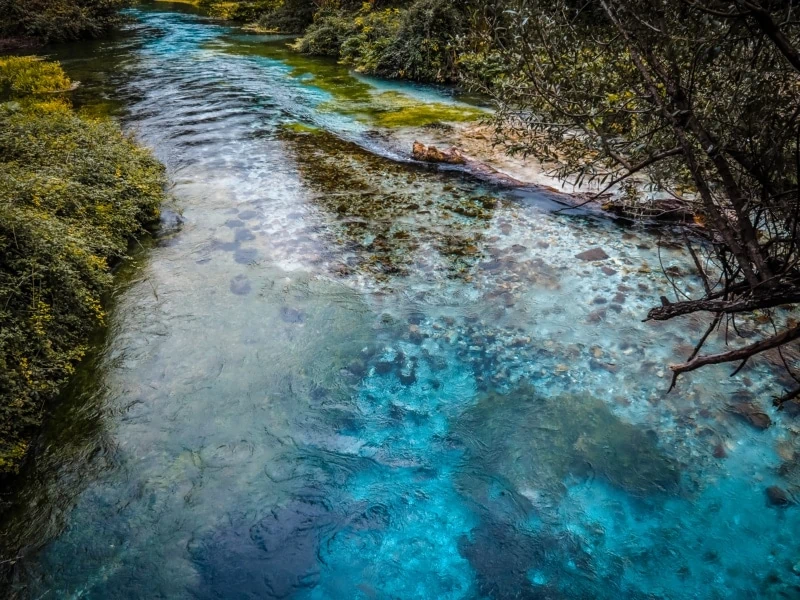 Blue Eye Saranda, Syri i kalter