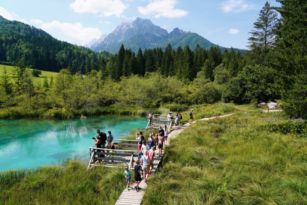 Biogradska Gora Nationalpark Montenegro