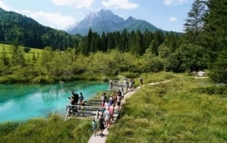 Biogradska Gora Nationalpark Montenegro