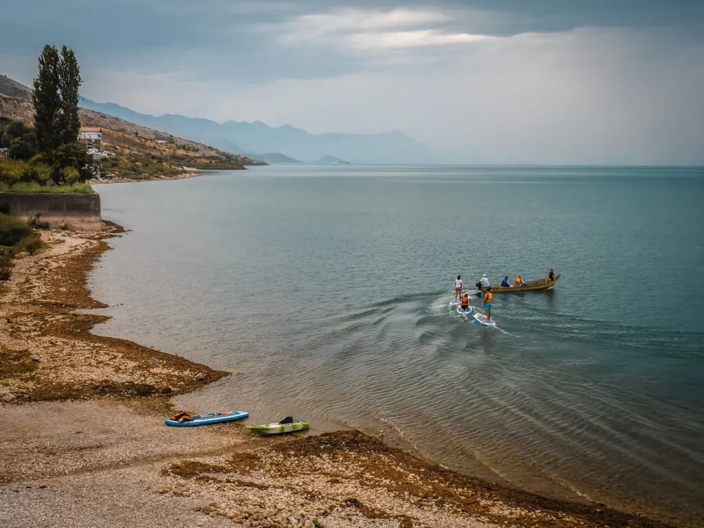 Shkodra See Vogelbeobachtung SUP Tour