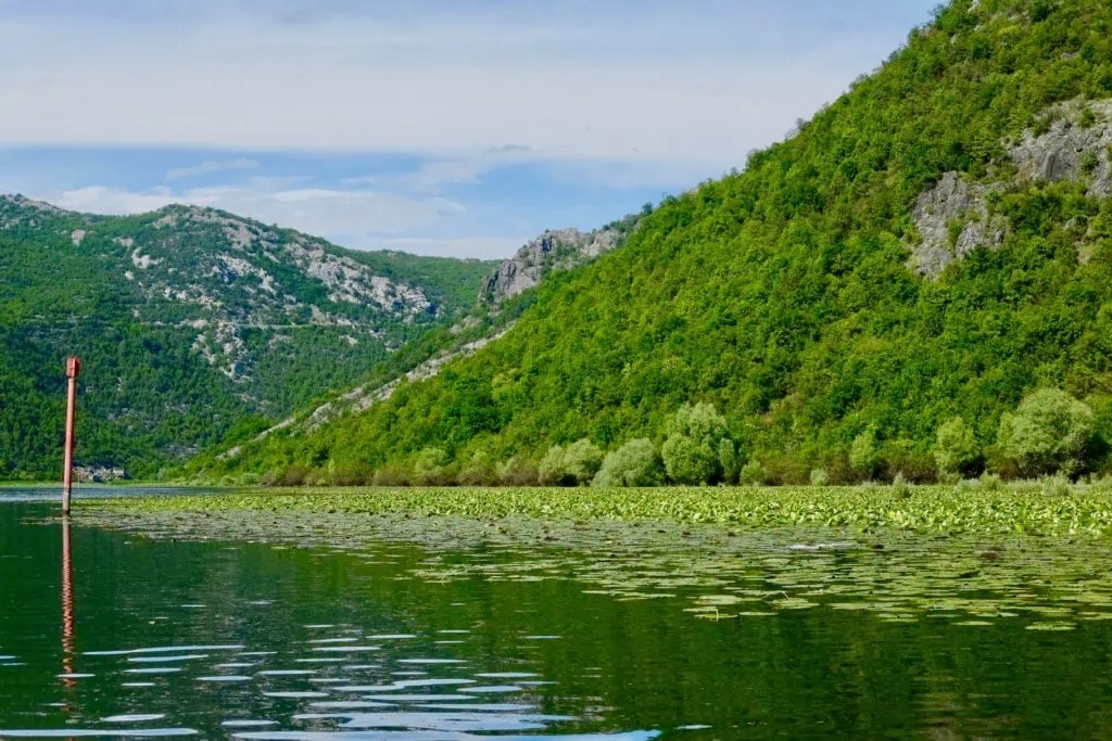 Skadar See Montenegro