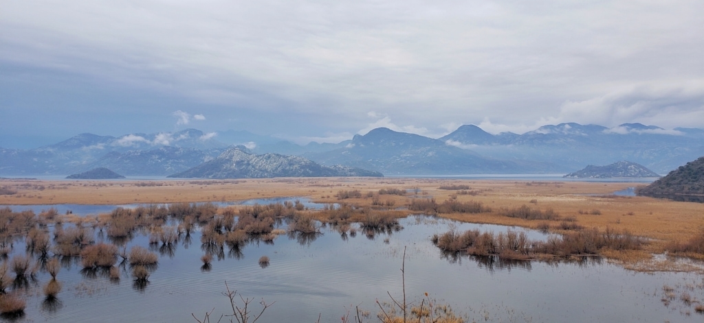 Skadar-See_Montenegro