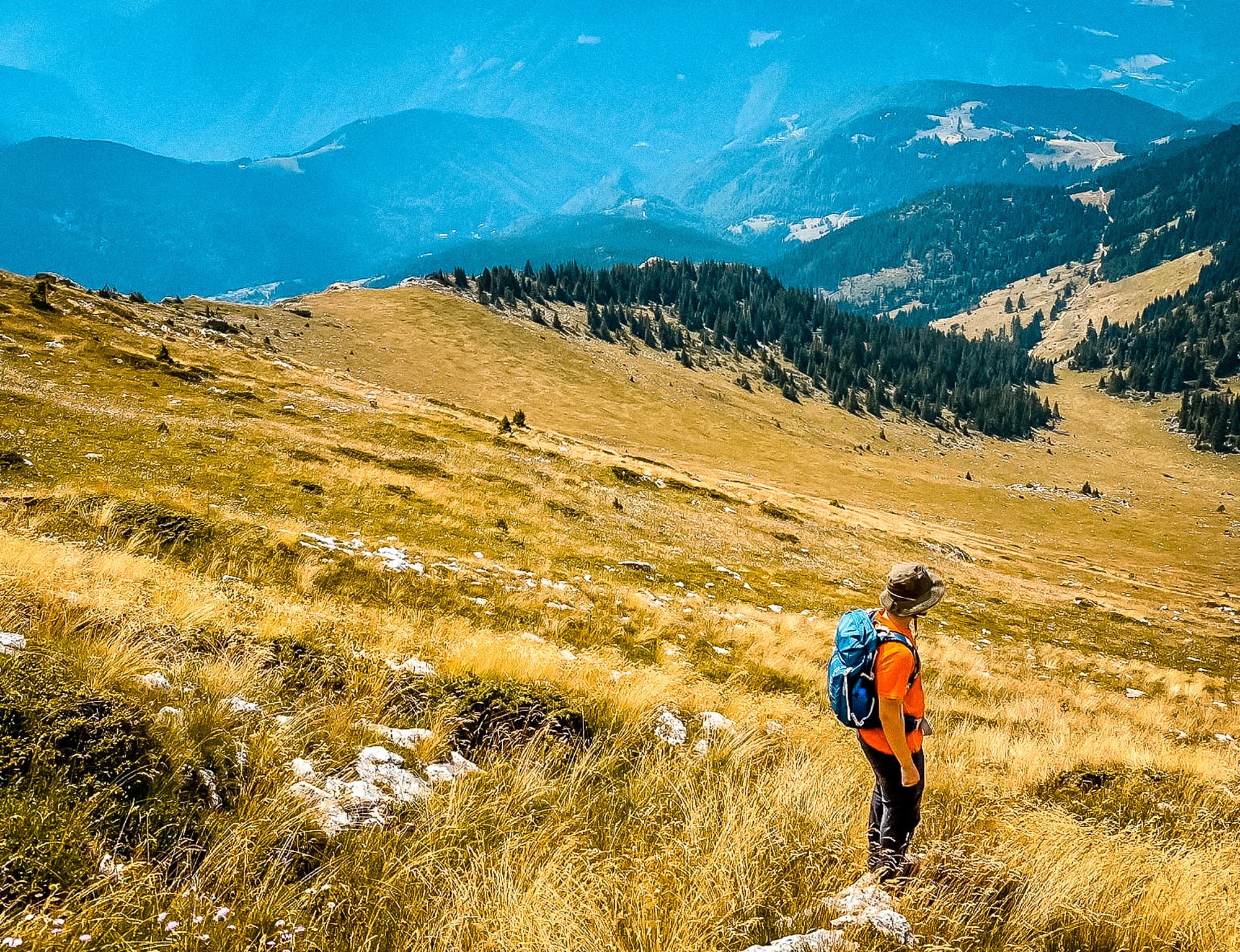 Adventure Albania: Wędrówki po albańskich górach z zapierającą dech w piersiach przyrodą, trawami, krowami, lasami i malowniczymi krajobrazami dla miłośników outdooru i przyrody.