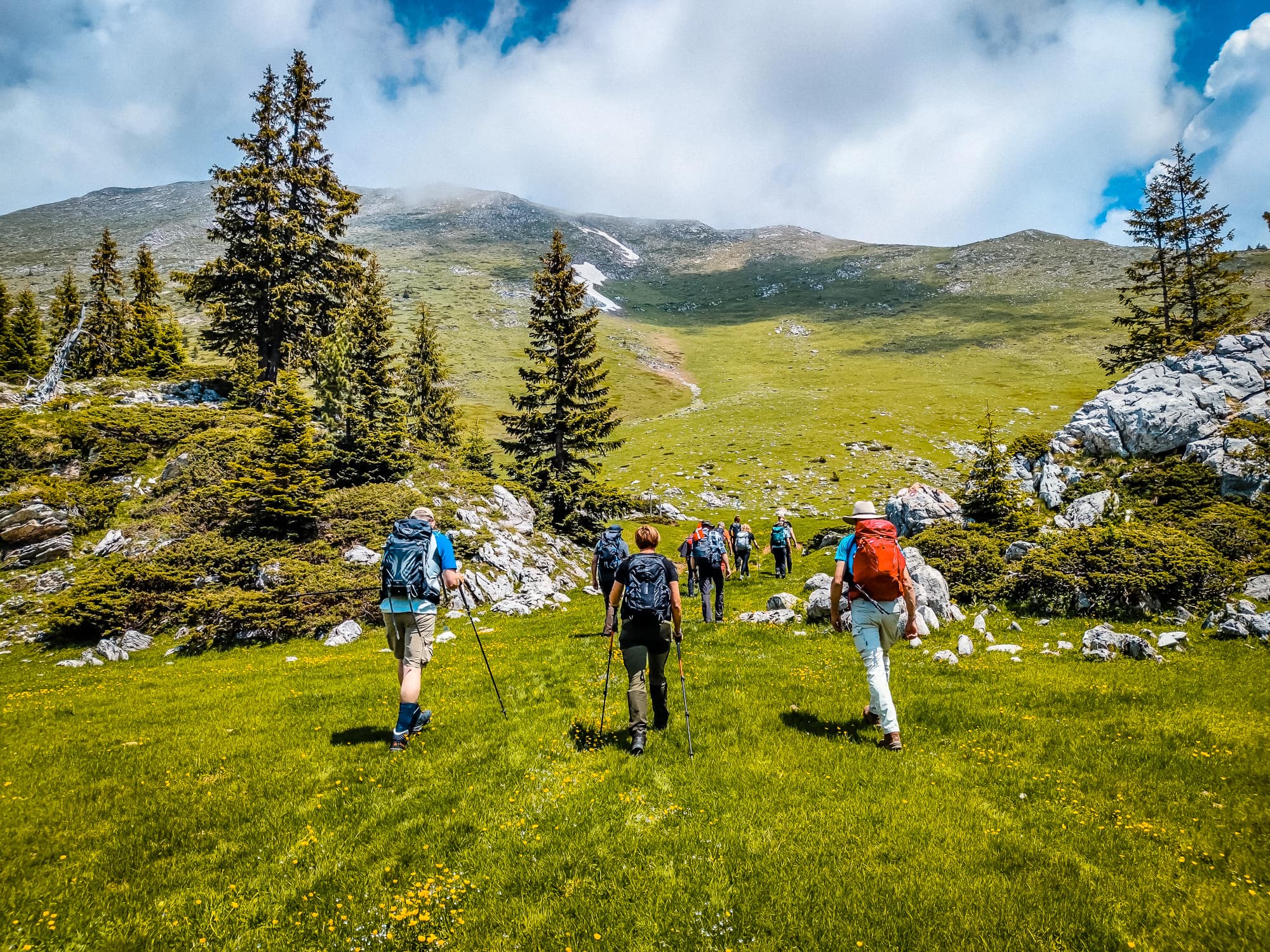 Turystyka piesza w Albanii, trekking grupowy w górach, przyroda i szczyty, przygoda Albania, zajęcia na świeżym powietrzu, zielone łąki, jodły, alpejski krajobraz, nietknięta przyroda, letnia przygoda, wakacje w Albanii.