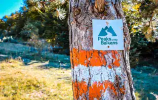 Ruta de senderismo por los Picos de los Balcanes, marcas en el árbol, excursión por la naturaleza en Albania, paisaje virgen, experiencia de aventura y naturaleza, excursión por los Balcanes, actividades al aire libre, excursión de senderismo en Albania, claro y colorido.