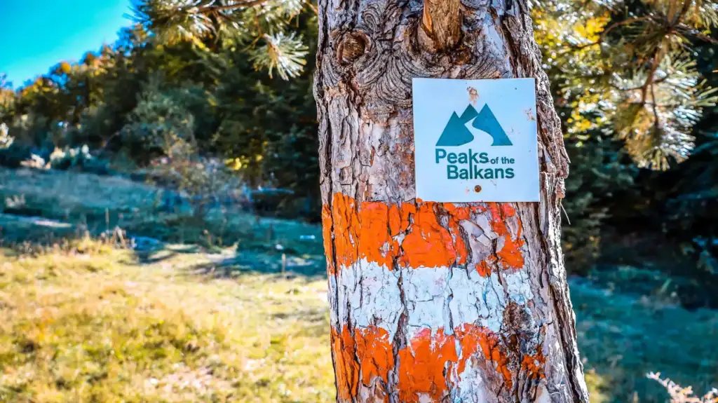 Abenteuer Albanien, Wegweiser an Baum im Nationalpark der Balkanstaaten, Outdoor-Aktivitäten, Wandern, Naturerlebnis, Balkan-Abenteuer.
