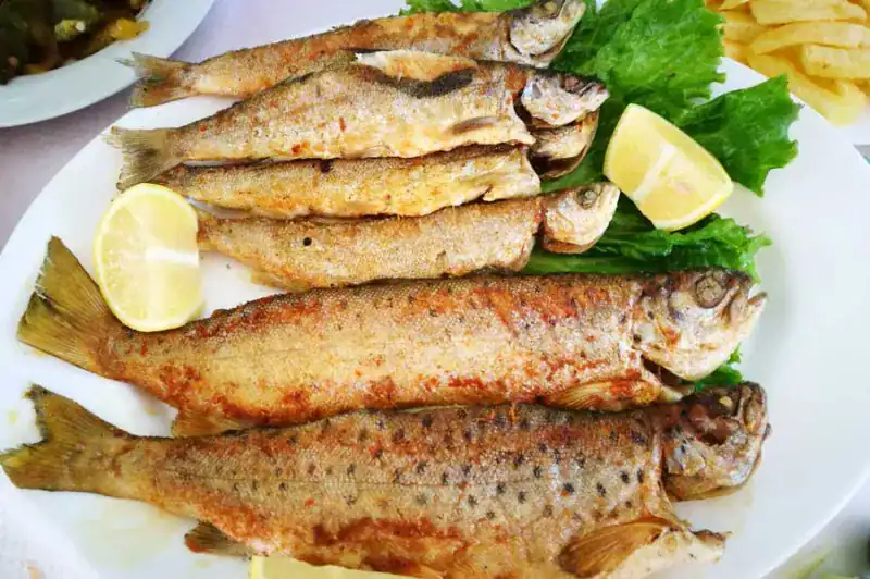 Ohrid forel Macedonian Food