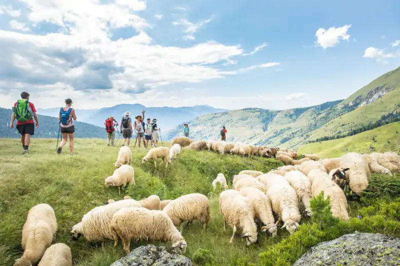Senderismo a distancia con ovejas en las montañas albanesas, experiencias con la naturaleza y los animales en Albania, vacaciones de aventura en Albania, paisajes impresionantes en Albania.