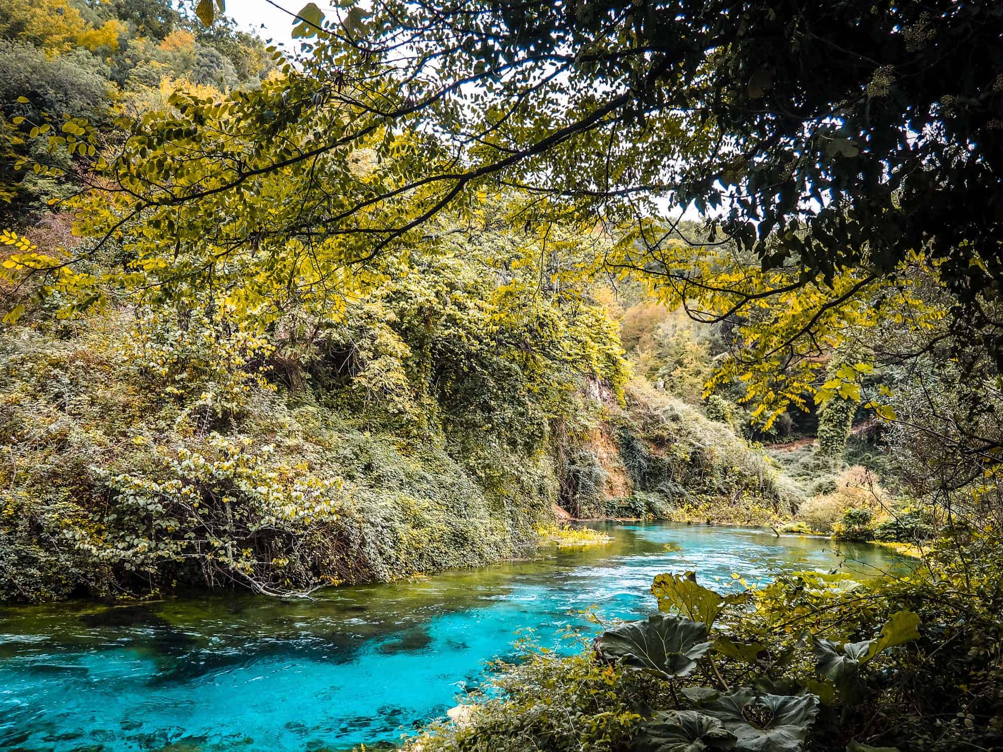 Río azul "Ojo Azul" en Albania, rodeado de exuberantes bosques verdes, escenario natural perfecto para la aventura Albania, agua salvaje y vegetación tropical.