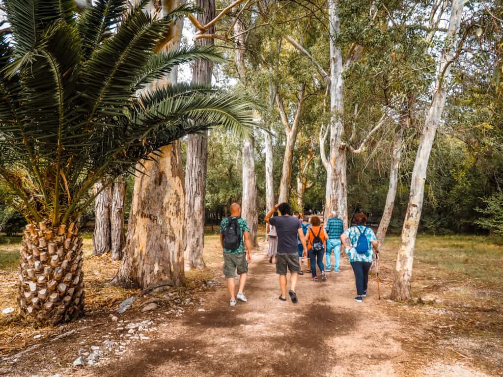 Saranda Sehenswuerdigkeiten: Der Butrint-Nationalpark, ein UNESCO-Weltkulturerbe