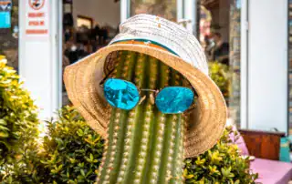 Cactus de montaña con sombrero para el sol y gafas de sol azules, temas típicos de las vacaciones de verano en Albania, en un encantador ambiente vacacional con plantas verdes y una acogedora zona al aire libre.