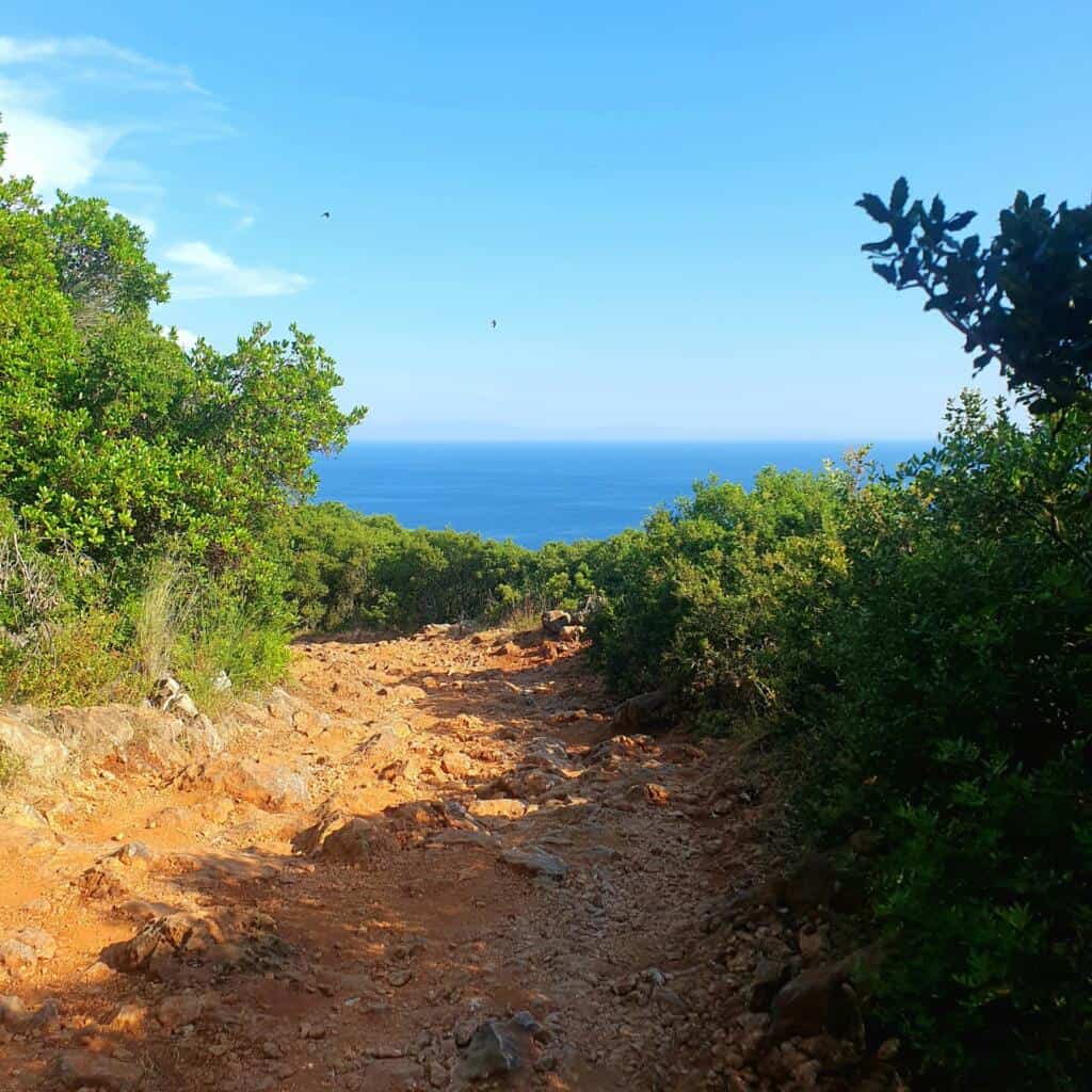 Aventura Albania: Ruta de senderismo por la naturaleza virgen con vistas al Mediterráneo, ideal para los amantes de la naturaleza y la aventura en Albania, viajes de descubrimiento y actividades al aire libre.