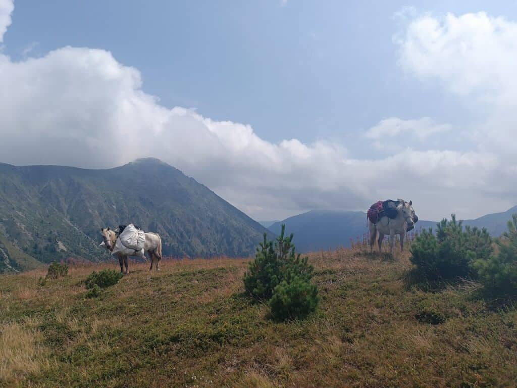 Gepäcktransport Peaks of the Balkans mit Pferden oder Maultieren