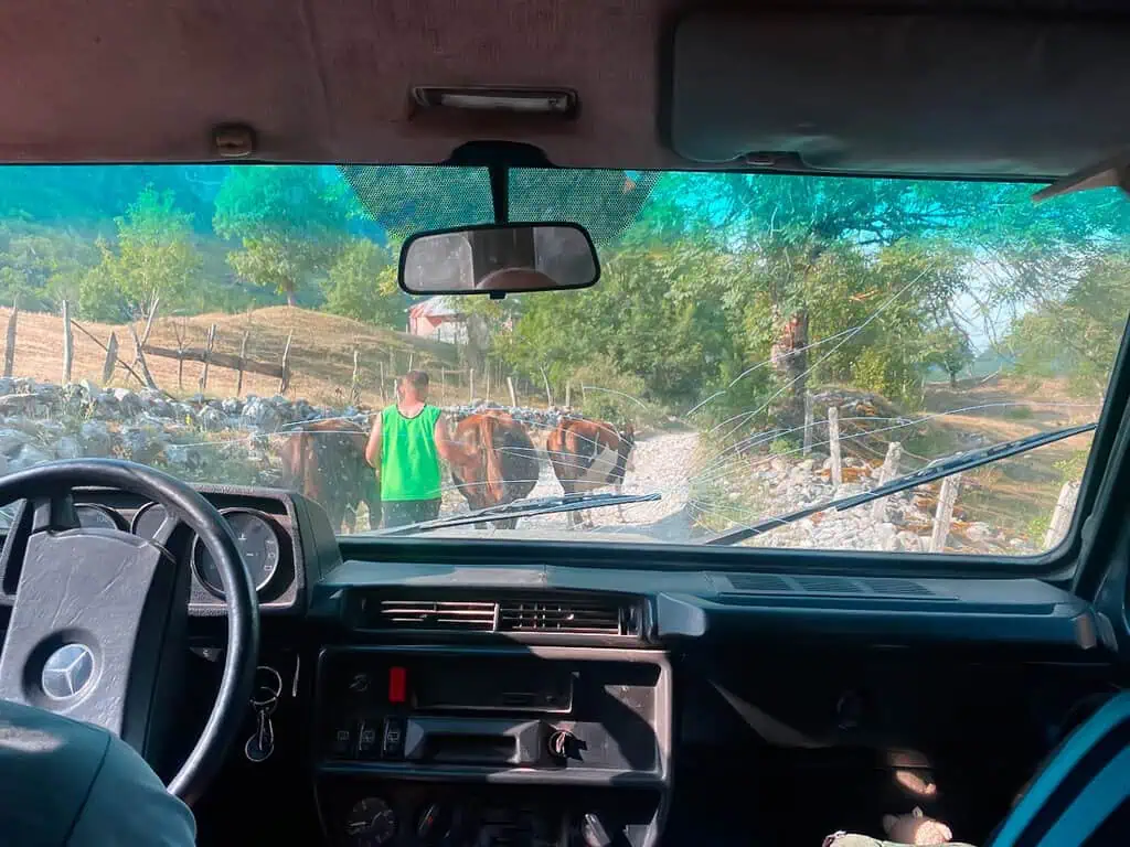 6 Tage Peaks of the Balkans Trail Transfers