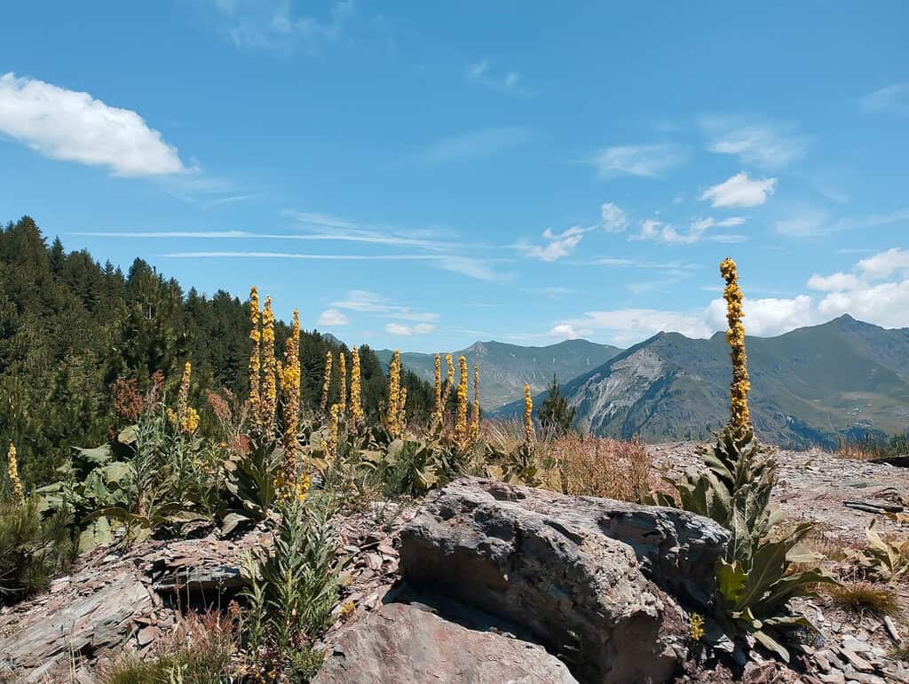 6 Tage Peaks of the Balkans Trail wilde Natur